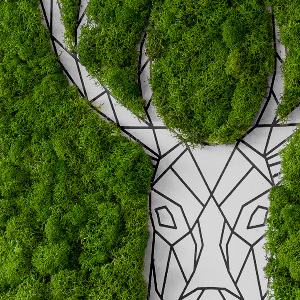 Obraz z živého mechu Geometrický jelen