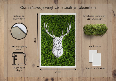 Obraz z živého mechu Geometrický jelen