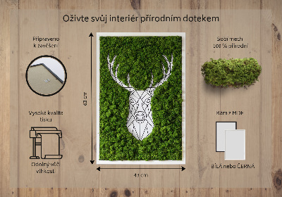 Obraz z živého mechu Geometrický jelen