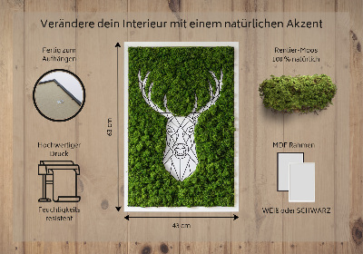 Obraz z živého mechu Geometrický jelen