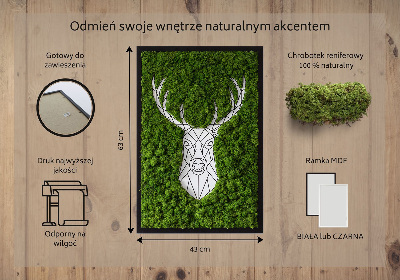 Obraz z živého mechu Geometrický jelen