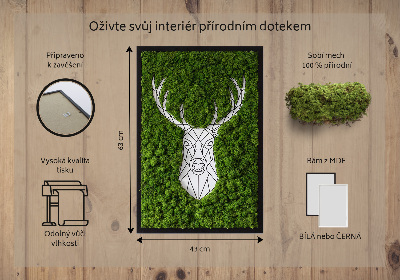 Obraz z živého mechu Geometrický jelen