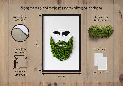Živý obraz mech Bederní s vousy