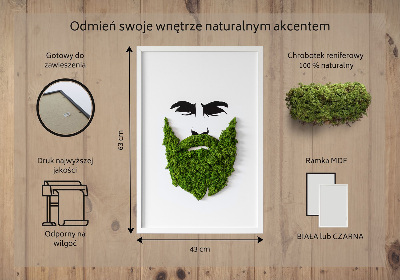 Živý obraz mech Bederní s vousy