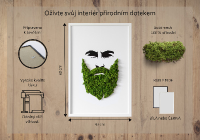 Živý obraz mech Bederní s vousy