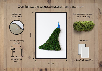 Mechový obraz Páv