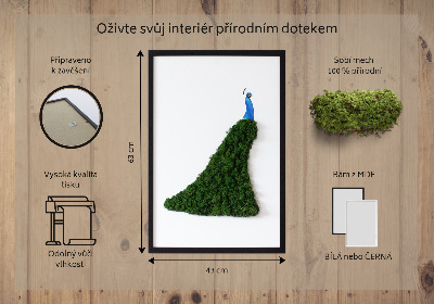 Mechový obraz Páv