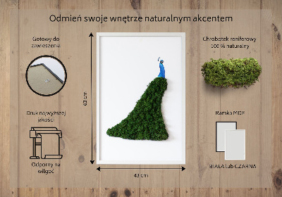 Mechový obraz Páv