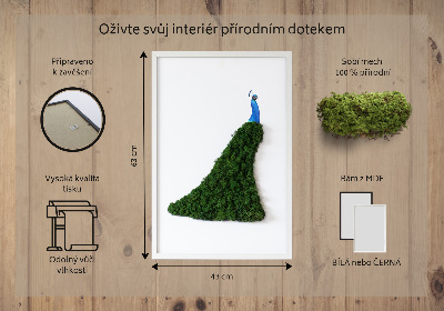 Mechový obraz Páv