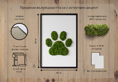 Obraz z mechu Otisk tlapky