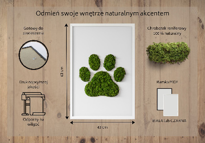 Obraz z mechu Otisk tlapky