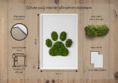 Obraz z mechu Otisk tlapky