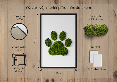 Obraz z mechu Otisk tlapky