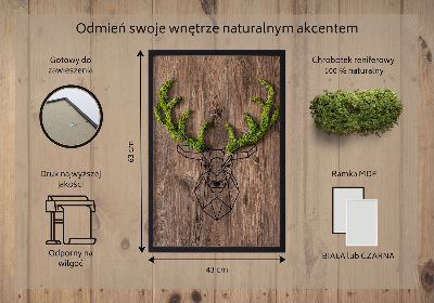 Obraz z živého mechu Jelení hlava na dřevěném pozadí
