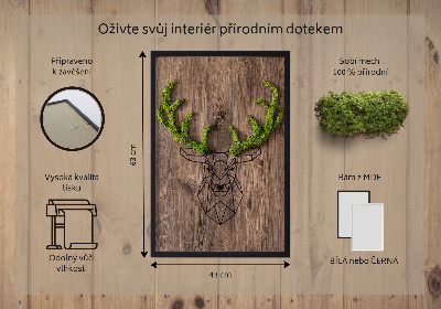 Obraz z živého mechu Jelení hlava na dřevěném pozadí