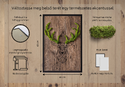 Obraz z živého mechu Jelení hlava na dřevěném pozadí