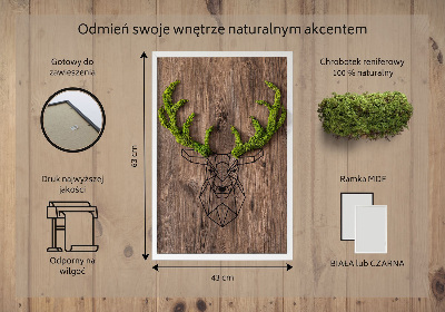 Obraz z živého mechu Jelení hlava na dřevěném pozadí