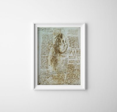 Plakát Anatomie da vinci