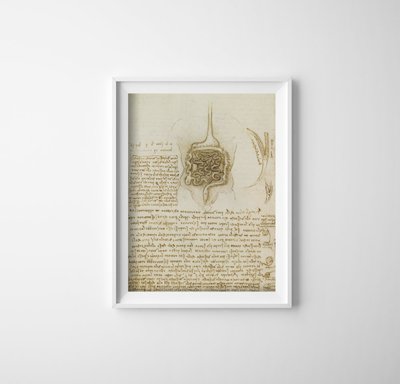 Plakát DA VINCI Gastrointestinální kabel a močový měchýř