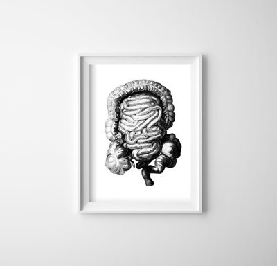 Plakát Anatomický baculatý imprint