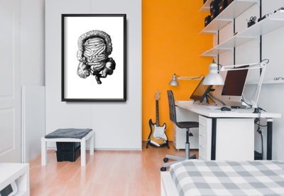 Plakát Anatomický baculatý imprint