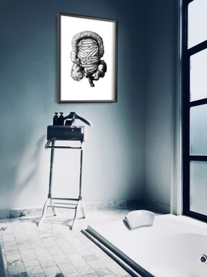 Plakát Anatomický baculatý imprint