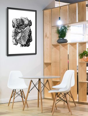 Plakát Anatomické záblesky lidských svalů