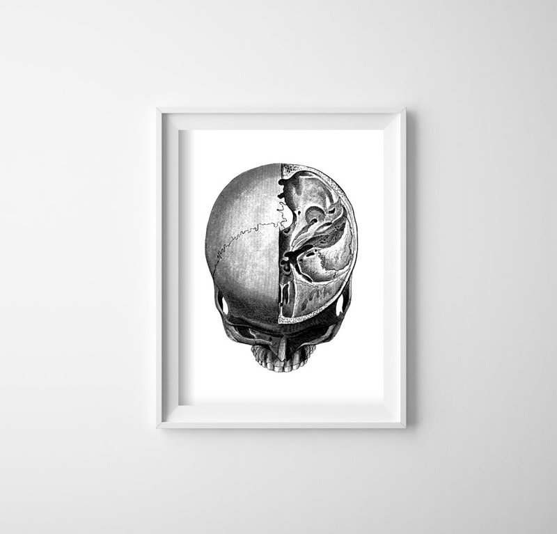Retro plakát Anatomical Skull Headprints
