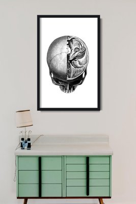 Retro plakát Anatomical Skull Headprints