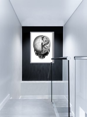 Retro plakát Anatomical Skull Headprints