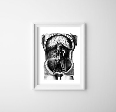 Retro plakát Kostra ilustrace
