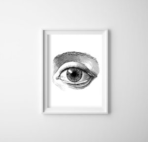 Retro plakát Oční anatomie