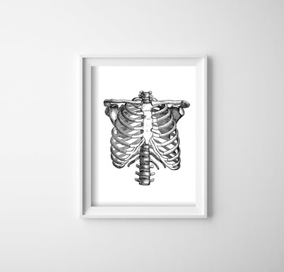 Retro plakát Anatomická skeleta