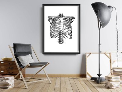 Retro plakát Anatomická skeleta