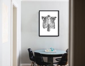 Retro plakát Anatomická skeleta