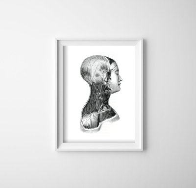 Retro plakát Anatomické tisky na svalstvu krku