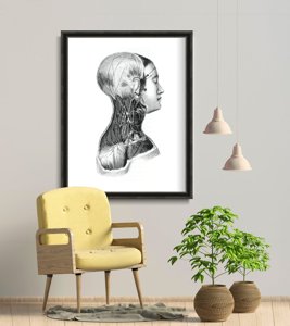 Retro plakát Anatomické tisky na svalstvu krku