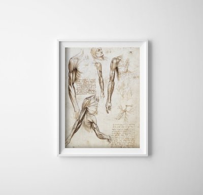 Retro plakát Horní končetiny svaly da vinci