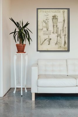 Designovy plakát Anatomical da vinci kosti