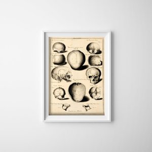 Designovy plakát Johnova kostí