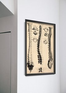 Designovy plakát Anatomie John Fotherby