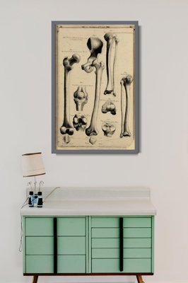 Designovy plakát Anatomie Johna Ford