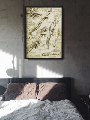 Dekorativní plakát Da Vinci svaly