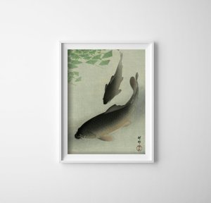 Retro plakát Koi ryby ohan kowon