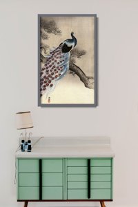 Retro plakát Peacock na borové větve ohry koton