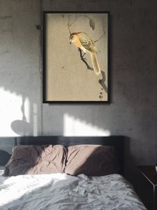 Plakát Pták a pavouk na větvích ohlary koto