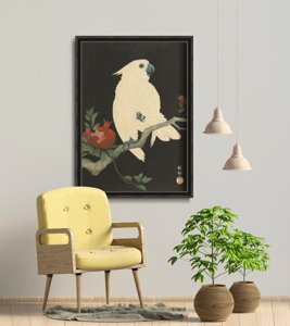 Plakát Papoušek z ohlary kowon