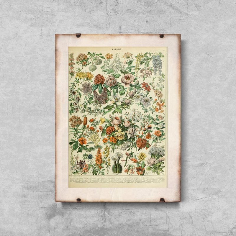 Retro plakát Adolphe Millot květiny