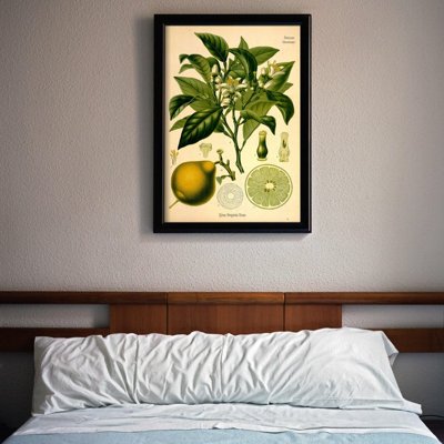 Retro plakát Bergamot.