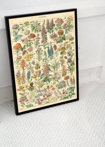 Retro plakát Květinový Adolphe Millo.